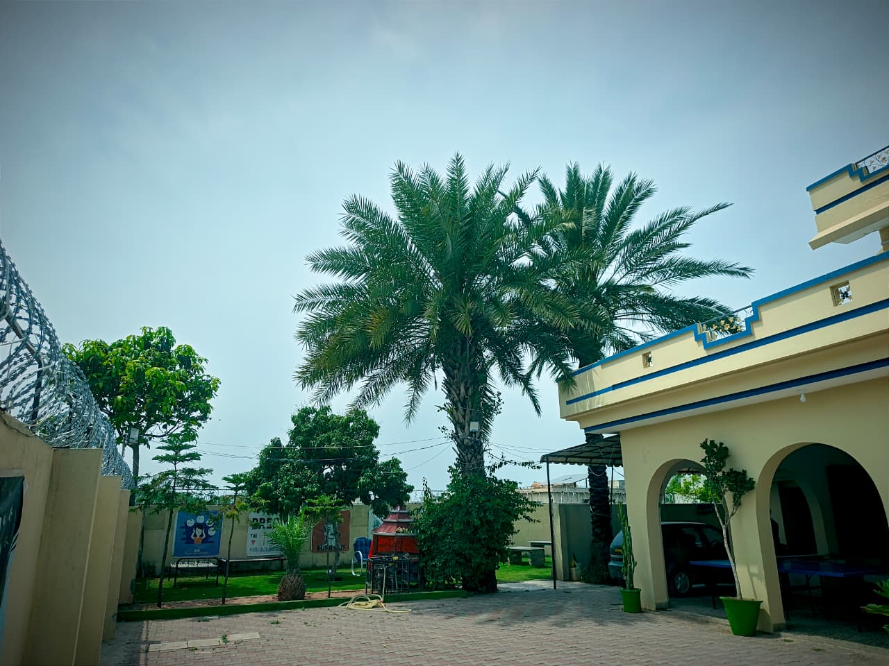 Therapy Path