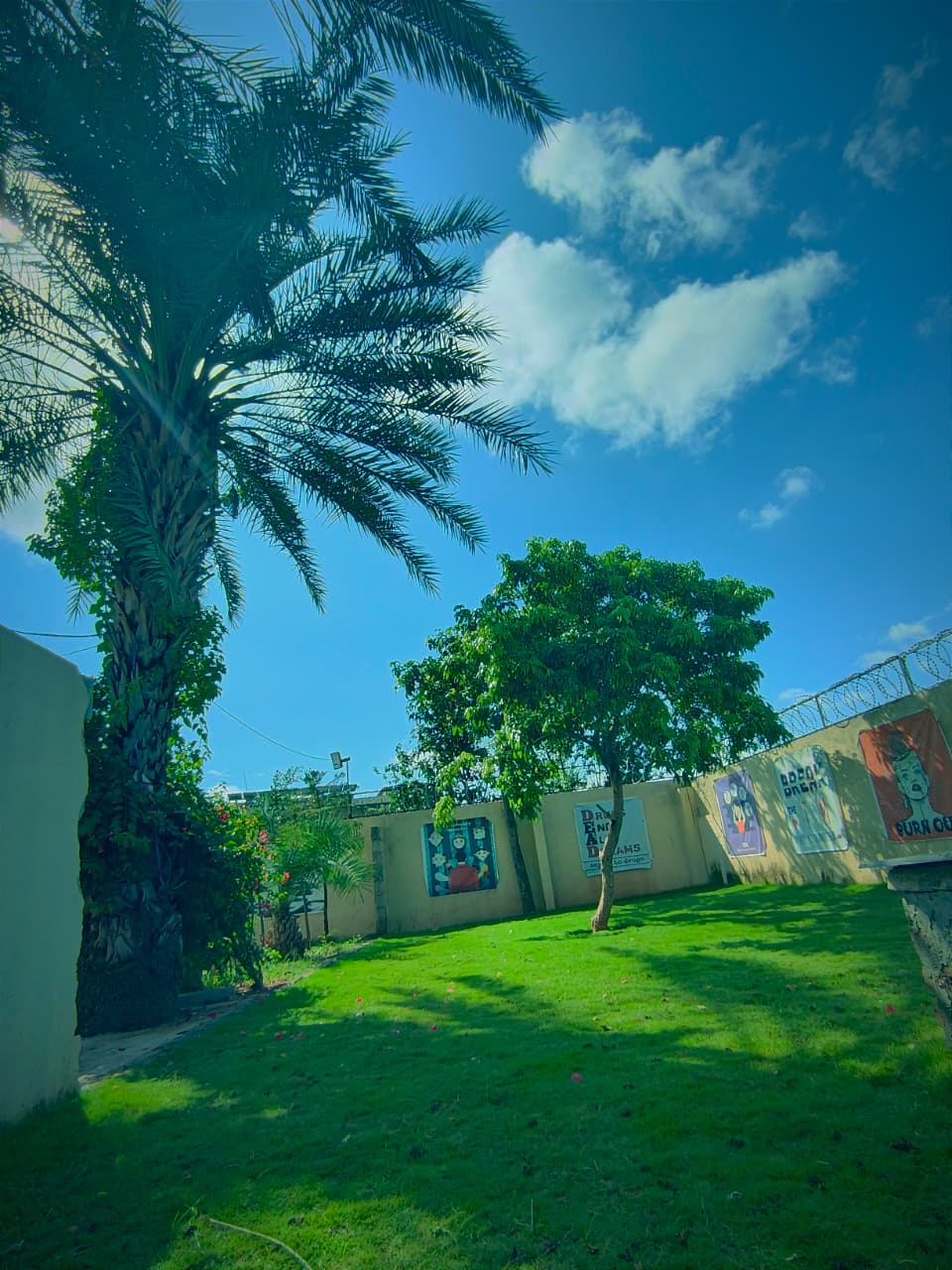 Medical Hallways